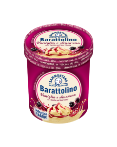 Sammontana Barattolino Fabbri Sour Cherry & Vanilla Gelato