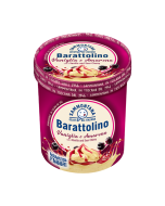 Sammontana Barattolino Fabbri Sour Cherry & Vanilla Gelato